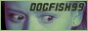 Dog fish 99