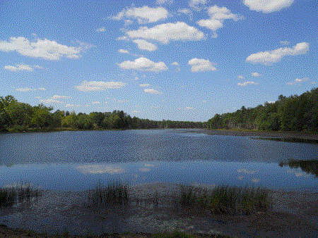 A vast lake under a bright blue sky spotted with sparse fluffy clouds