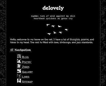 The second home page of 2024, more simple, with a straightforward navigation menu, and a silhouette of geese flying across the screen