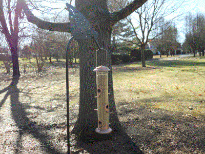 A photo of the bird feeder in bright sunlight. It stands beside a tree.