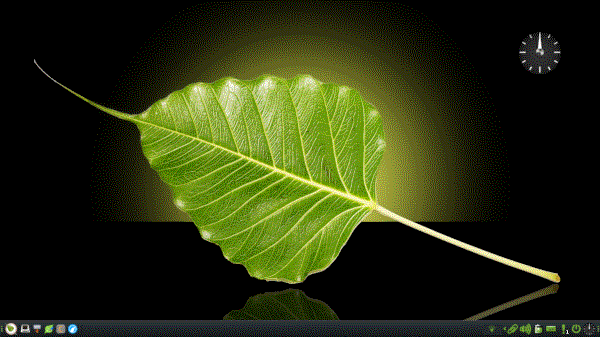 A dark desktop environment with green accents, featuring an analog clock desktop widget and a wallpaper of a bright green leaf.