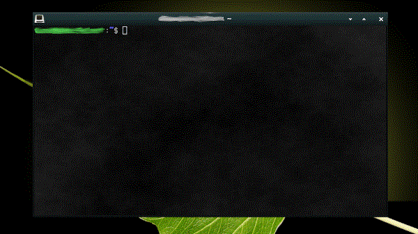 A screenshot of the terminal in Bodhi Linux, which has a slightly textured background.