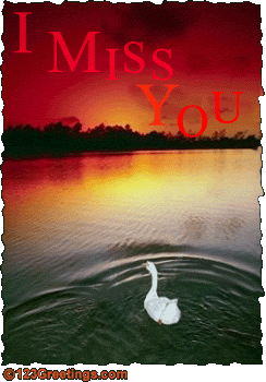 A lone white goose wades through a pond towards the bright red sky. The words 'I miss you' are painted in the sunset.