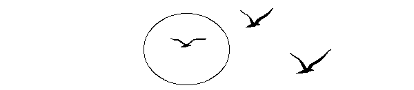 Birds fly off into the distance, past the setting sun.
