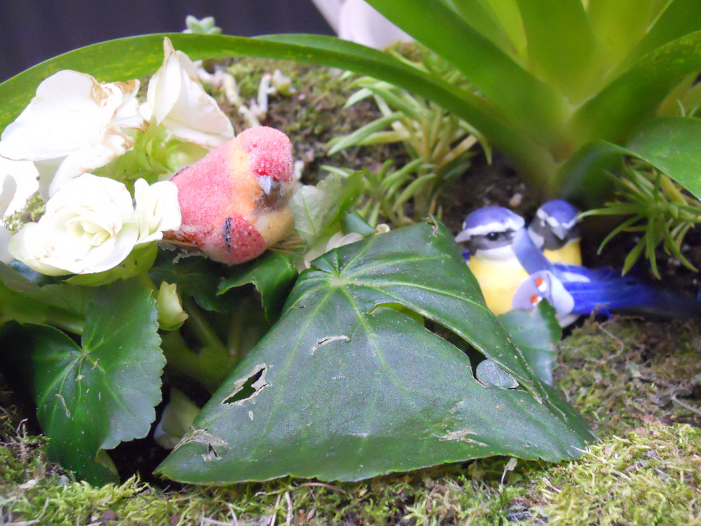 A tiny peach-colored statue of a bird rests on top of a big green leaf, next to a white flower. Two fake blue birds sit on mossy soil.