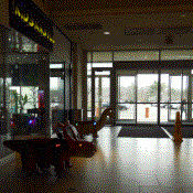 Two animatronic dinosaurs with glowing eyes rest in a dark mall